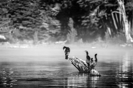 Ritual